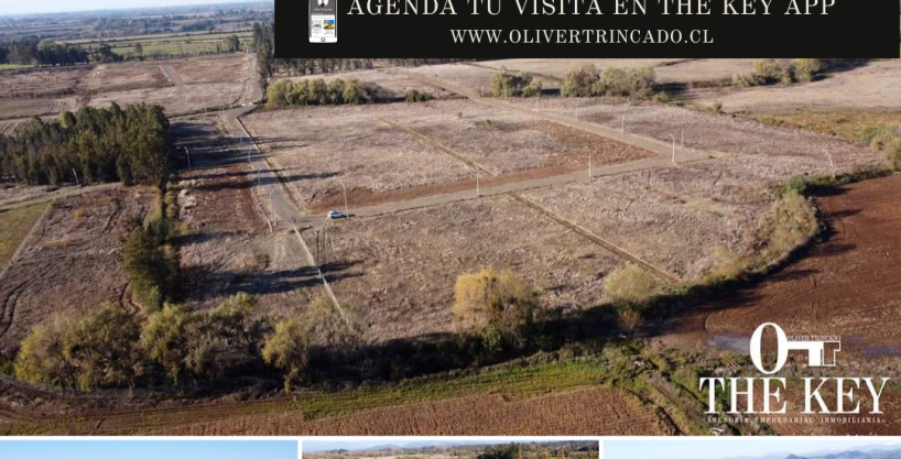 terreno en venta