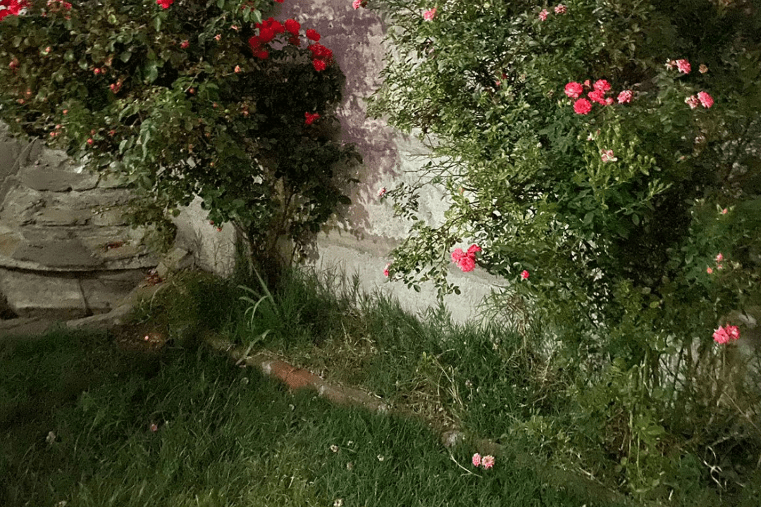 20230419_155029_0012
