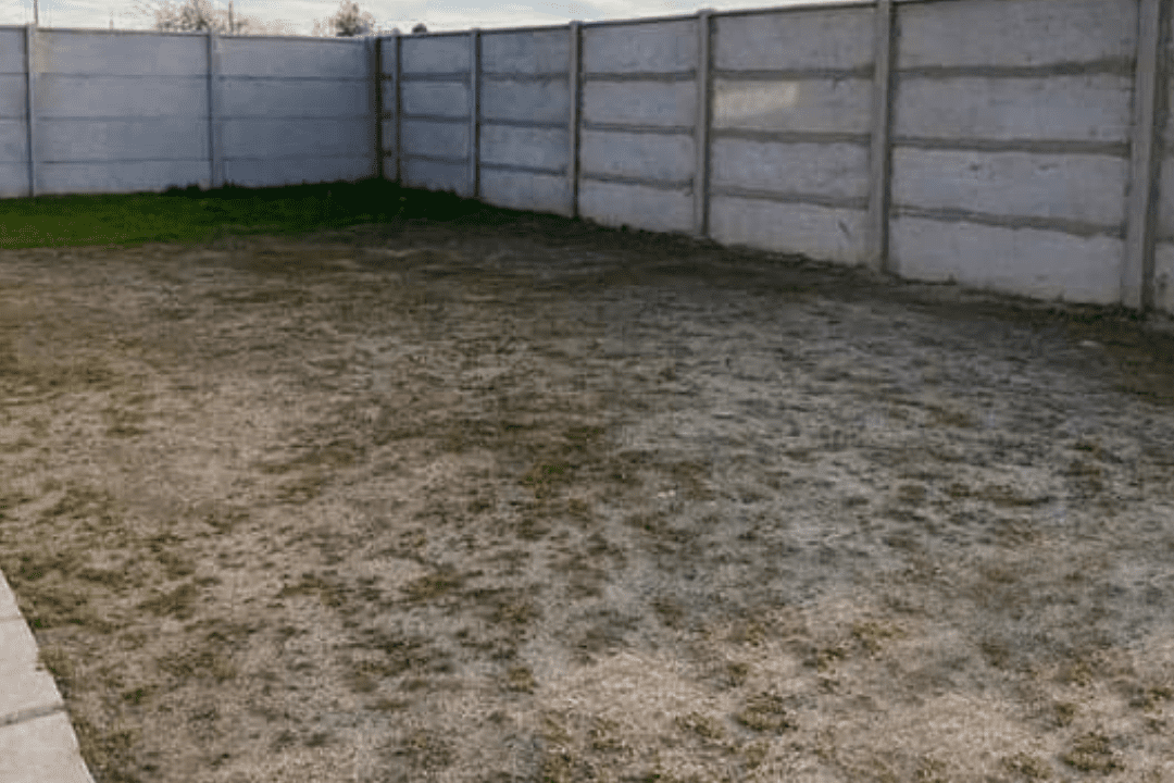 9_20230419_212412_0008