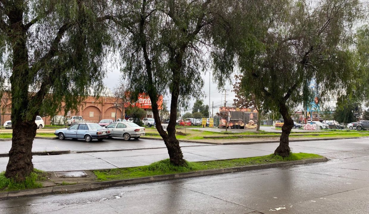 IMG-20230706-WA0006