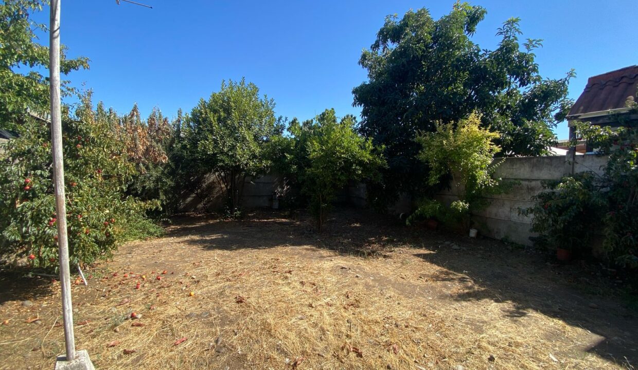 IMG-20250314-WA0006