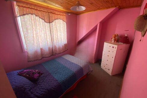 IMG-20250314-WA0017