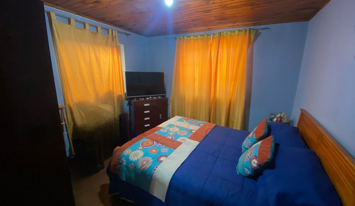 IMG-20250314-WA0019